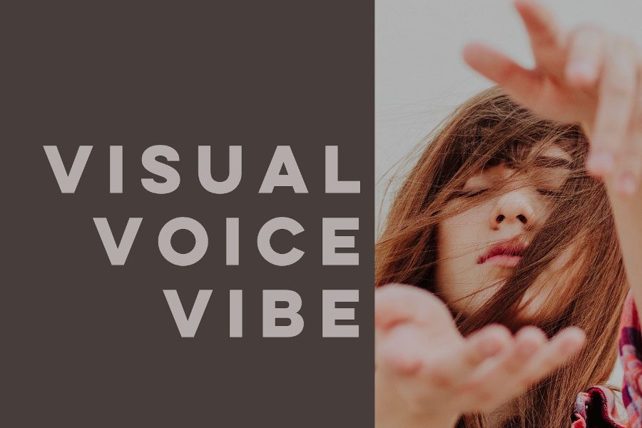 Visual Voice Vibe