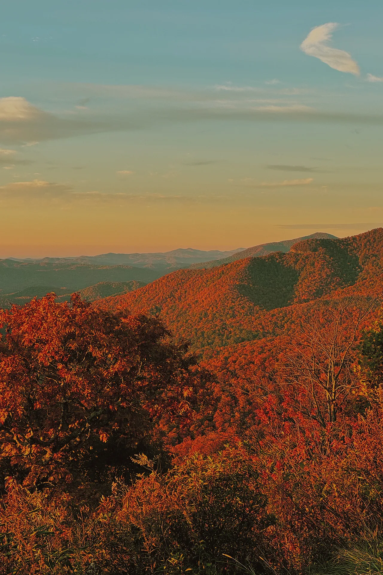 Patagonia, the Planet, and Charlotte’s South End